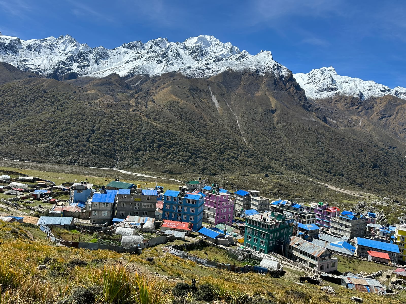 langtang valley trek nepal