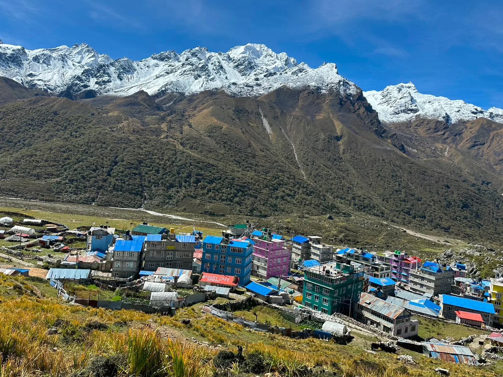 langtang valley trek nepal