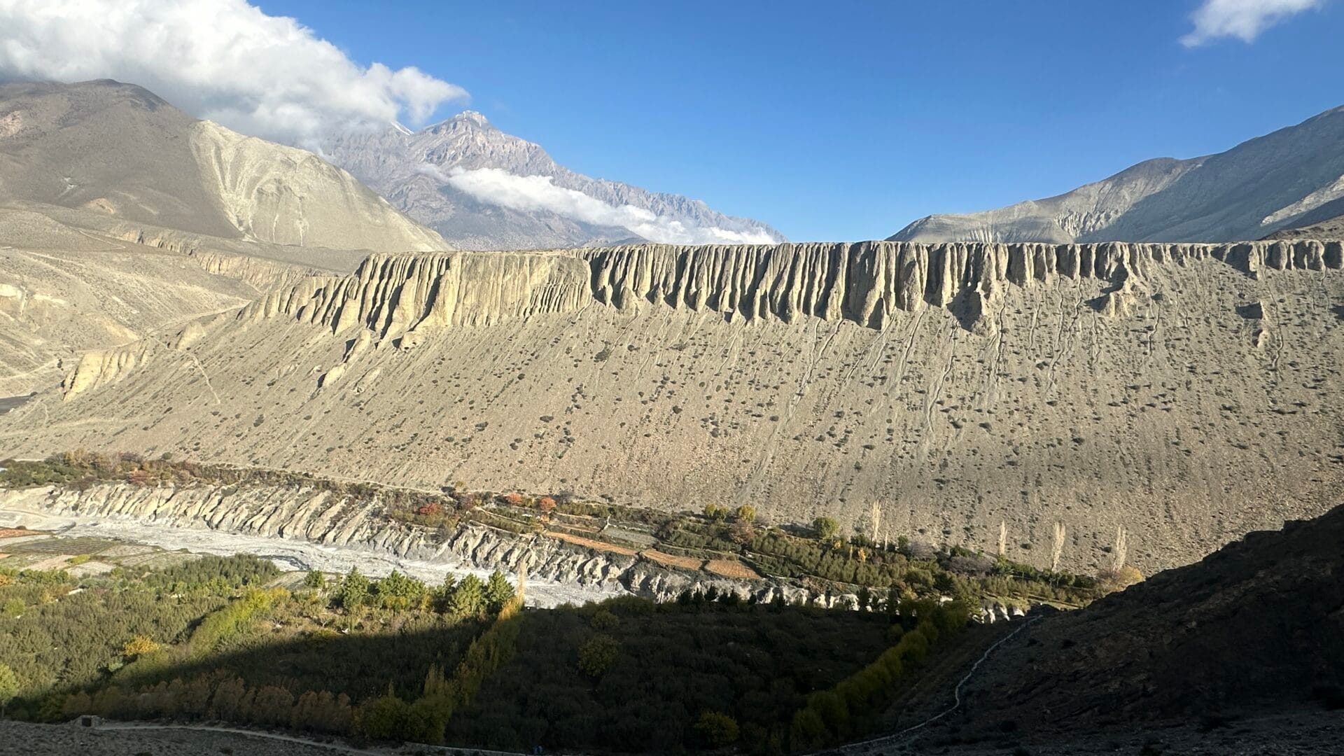 Mustang Trek