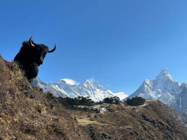 everest trek
